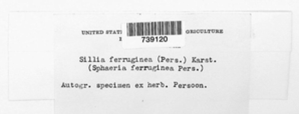 Sydowiellaceae image